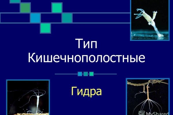 Kraken актуальные ссылки официальный сайт